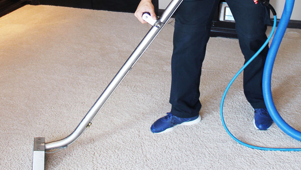Technician holding a carpet cleaning wand